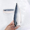 Norwegian Mackerel Fresh Mackerel Fillets Semi-Finished Japanese-Style Salt-Grilled Frozen Mackerel Bonito Tuna Wholesale Frozen