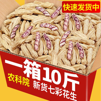 New Colorful Peanut Dried with Shell Yunnan Pu'er Field Colorful Peanut Court Milk Peanut Seeds