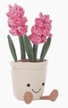 Hyacinth hot