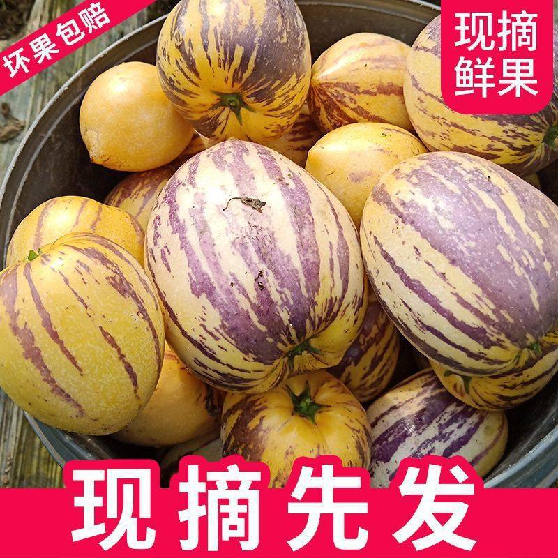 Fresh Seasonal Whole Box Wholesale of Yellow-Fleshed Large Fruits from Minqin, Gansu, Including Ginseng Fruit, with Free Shipping and Low Sugar Content