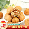 2024 Paper-Skinned Walnuts, Xinjiang Walnuts, Thin-Skinned New Arrivals, Original Flavor, Raw Hand-Peeled Cooked Pregnant Women Nutrition