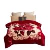 Manufacturer Wholesale Raschel Blanket Quilt Double Layer Thickened Autumn and Winter Double Warm Wedding Red Gift Blanket