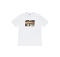 86 white