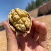 Xinjiang 185 paper walnut new goods bulk 500 g/bag thin shell original flavor pregnant women thin skin thin walnut wholesale