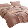 Class a Winter Thickeneded Blanket Flannel Blanket Student Dormitory Blanket Nap Blanket Cross-Border Shawl Blanket Sofa Blanket