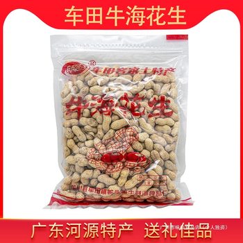 Heyuan Specialty Che Tian Beef Peanuts, Crispy, Salty and Dry Snacks to Drink with Wine, Guangdong Fried Peanuts, Original Fried Nuts with Shells