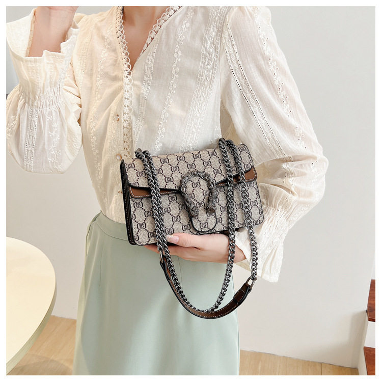 New Cross-Border Dionysus Bag Fashion Trend Retro Printed Chain Bag Popular Armpit Bag Cross-Body Shoulder Bag Women's Bag 9 O1CN01kvhRLn1IhF4S7oYIX !!2221129960924 0 cib