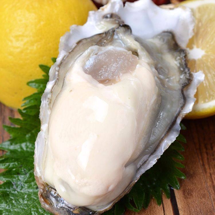 2.5kg Free Shipping Oysters Fresh Oysters Ready-To-Eat Seafood Barbecue Fresh Seafood Shelled Aquatic Products Sea Oysters
