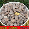 Ll Pepper Salt Pine Nuts 500g Large Special Grade Special Pepper Salt Flavor Fresh Bulk New Arrival Hand Peeled Dried Nuts