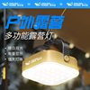 Outdoor Cob Large Floodlight Warm White Dual Light Camping Lamp with Hook Solar Portable Handheld Lamp