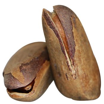 Wild Red Pine Nuts, Northeast Original Flavor, Non-Fried, Hand-Peeled, Extra Large, Non-Granular, 500g Bulk Pack, 0.5kg Packs