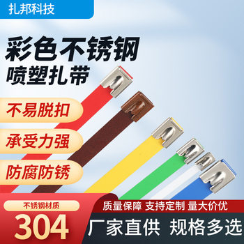 304 stainless steel self-locking cable tie manufacturers wholesale color self-locking cable tie stainless steel cable tie full spray plastic cable tie