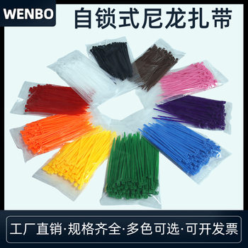 Black and White Transparent Color Nylon Tie Red Yellow Blue Green Pink Orange Purple Brown Tie Low Temperature Cold Resistant Tie Tape