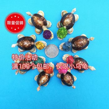 Little Turtle Shell Doctor Conch Ornaments Handicraft Ornaments Seaside Travel Commemorative Spot Conch Shell Wholesale
