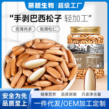 Hand-Peeled Pine Nuts, Custom Brazilian Pine Nuts, Roasted Nuts, Extra-Large Individual Packets, Dried Fruits, Bulk Goods, Snacks for the New Year