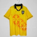 Brazil home game in the 1993-94 season