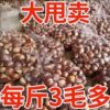 Fresh Chestnuts 2.5kg Farm-Grown Freshly Picked Raw Chestnuts, Authentic Oil Chestnuts, Not Qianxi Yanshan Chestnuts