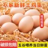 Authentic Free-Range Farm Eggs, Fresh Mixed Grain Eggs with Cordyceps, Nutritious Confinement Eggs, Free-Range Eggs