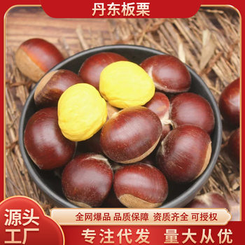 2025 Fresh Dandong Chestnuts 2.5kg Fresh Chestnuts Tender Large Chestnuts Wild Qianxi Chestnuts Oil Cone Chestnuts