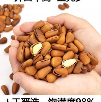 One-Piece Dropshipping New Product Pine Nuts, a Must-Have for the New Year, 500g Hand-Peeled Original Flavor Pine Nuts, King Nuts, New Year Snacks