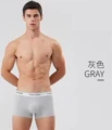 Gray (white belt)