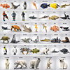 Simulated Marine Animal Creature Model Factory Octopus Penguin Dolphin Diver Turtle Shark Scene Full Range