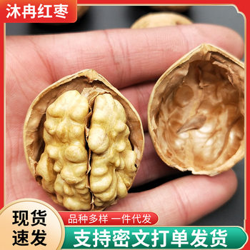 Xinjiang Specialty Paper-Skinned Walnuts Aksu Raw Walnuts 185 Paper-Skinned Walnuts Xinjiang Specialty Walnuts Thin-Skinned Walnuts