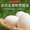 Farmhouse Goose Eggs, 6 Pieces, 80-100g, Fresh Eggs on the Day, Free-Range Goose Eggs, Nutritious, Suitable for Pregnant Women