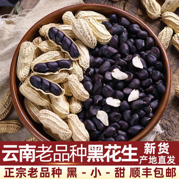 2025 New Black Peanuts in Shell Selenium-Rich Black Peanuts 2.5kg / 5kg Yunnan Pu'Er Specialty Black-Skinned Peanuts