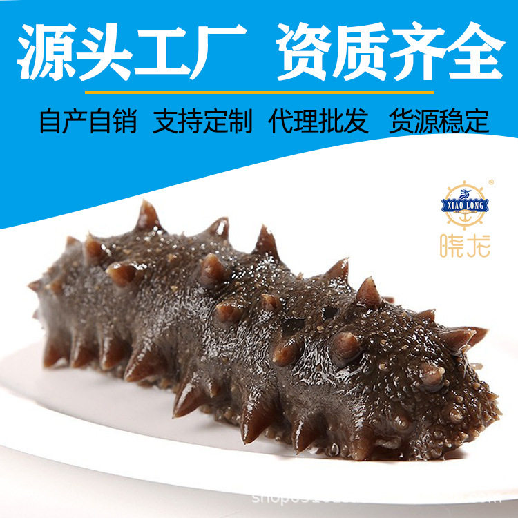Ready-To-Eat Sea Cucumber Source Factory Fresh Sea Cucumber Liaodong Sea Cucumber Fresh Wholesale Dalian Wild Ready-To-Eat Sea Cucumber Liaodong Sea Cucumber