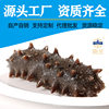 Ready-To-Eat Sea Cucumber Source Factory Fresh Sea Cucumber Liaodong Sea Cucumber Fresh Wholesale Dalian Wild Ready-To-Eat Sea Cucumber Liaodong Sea Cucumber