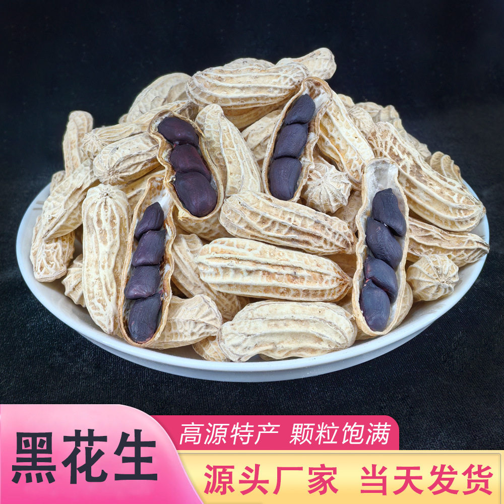 Yunnan Black Peanuts with Shells Are Grown by Farmers and Sun-Dried by Manufacturers. Sweet Purple-Skinned Selenium-Rich Black-Skinned Peanuts Are Shipped by Manufacturers