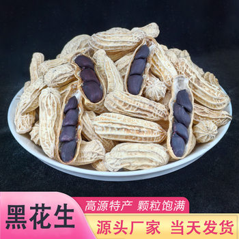 Yunnan Black Peanuts with Shells Are Grown by Farmers and Sun-Dried by Manufacturers. Sweet Purple-Skinned Selenium-Rich Black-Skinned Peanuts Are Shipped by Manufacturers