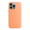 Orange smoothie color