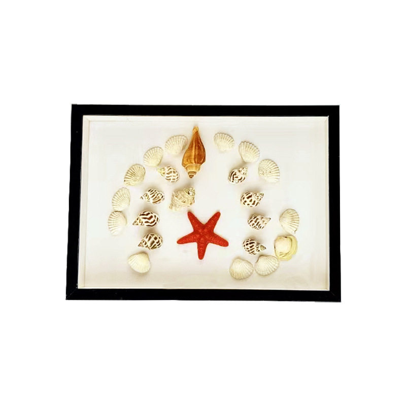 Stereo Hollow Photo Frame Specimen Frame DIY Handmade Table Seaside Shell Conch Dried Flower Display Picture Frame Memorial