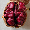 Xinjiang Specialty Red-Skinned Blood Walnuts Peeled Paper-Skinned Nuts for Pregnant Women Original Raw Walnuts Special Grade