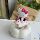 Мультяшный детский пони KT оборачивается симпатичным рисунком Hello Kitty, вращающийся автомобиль, украшение рабочего стола, подарок, оптовая продажа mini 22