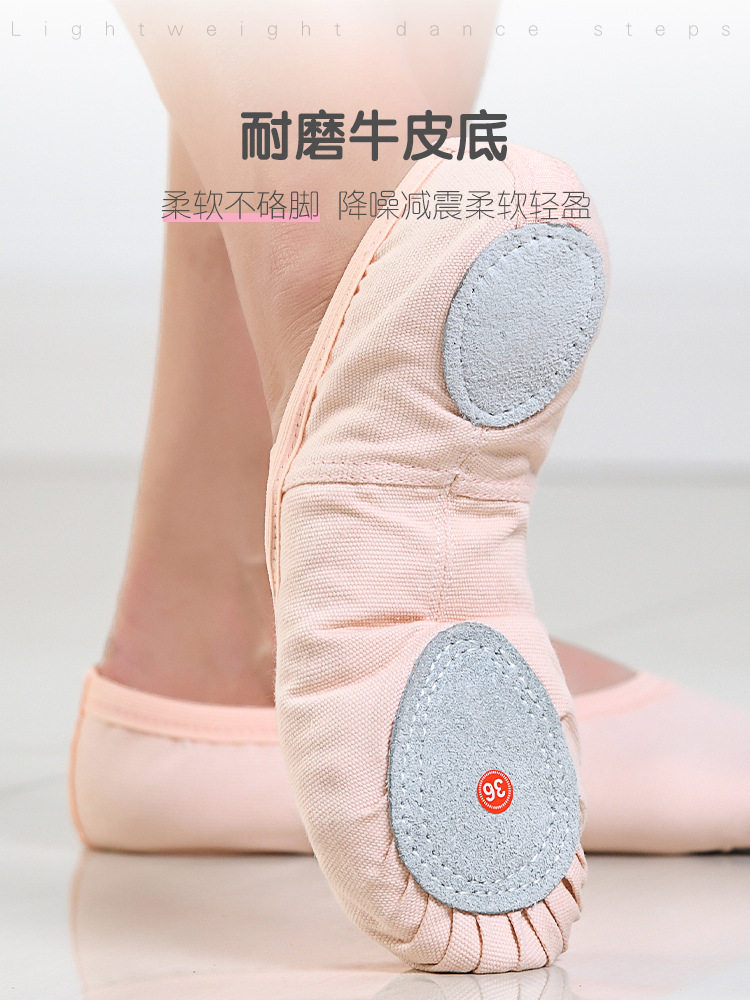 Dance Shoes Girls Soft Sole Children's Meat Color Test Grade Practice Shoes Adult Cat Claw Shoes Chinese Ballet Dance Shoes