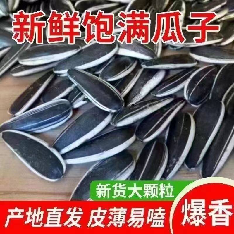 Inner Mongolia Raw and Cooked Sunflower Seeds, Fresh Varieties of Melon Seeds, 361 Shells, New Original Flavor, Large Kernels from Farmers