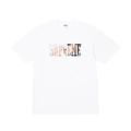 B384 gradient letters white