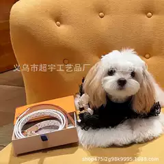 Wholesale trendy leather pet collar leash suit adjustable cute small cat and dog universal comfort