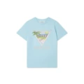 8-aqua blue