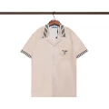 Q280 apricot
