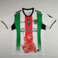 Palestine black red