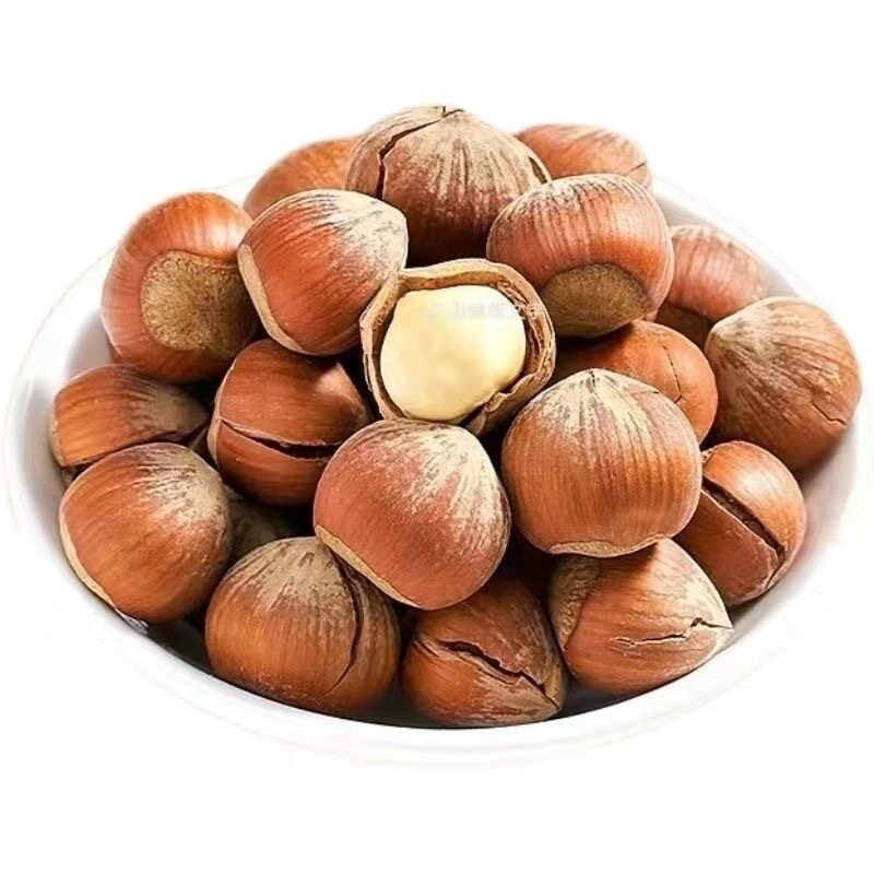 New Northeastern Large Hazelnuts Original Flavor Raw Fried Tieling Specialty Dried Fruit Snacks Fresh Thin-Skinned Nut Snacks Wholesale