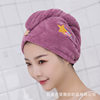 Double-Layer Shower Cap Dry Hair Cap Printed Coral Velvet Cute High-Looking Thickened Soft Absorbent Head Towel Wholesale