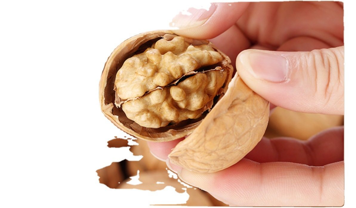 Xinjiang Aksu 185 paper walnut new original flavor raw walnut 1000 g/bag