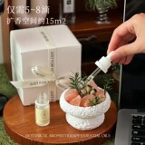Для вас * Ароматерапевтический диффузор Plant orange salt spar, не содержащий огня, подарочная коробка для ароматерапии для девочек и подруг, подарки 