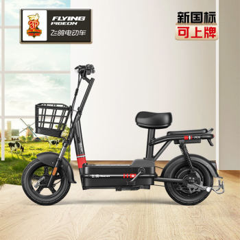 Flying Pigeon small universe electric car small electric car new national standard adult battery car wholesale lightweight electric car