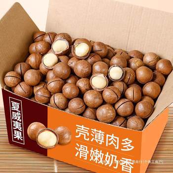 New Arrival Canned Macadamia Nuts 500g Cream Nuts Dried Fruit Bag/50G Casual Snacks Bulk Retail Gift Pack
